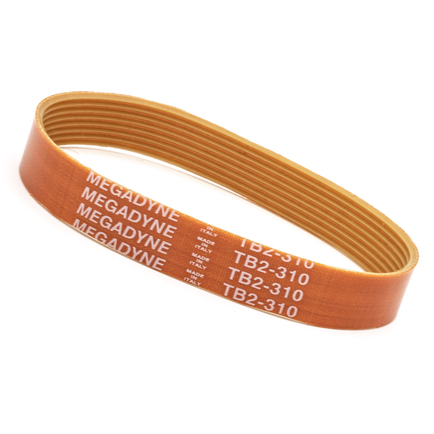 CINGHIA PER AFFETTATRICE MEGADYNE TB2-295 8 NERVATURE - 16 mm - 295 mm - V- belt CINGHIA PER AFFETTATRICE MEGADYNE TB2-295 8 NERVATURE - 16 mm - 295 mm - V- belt