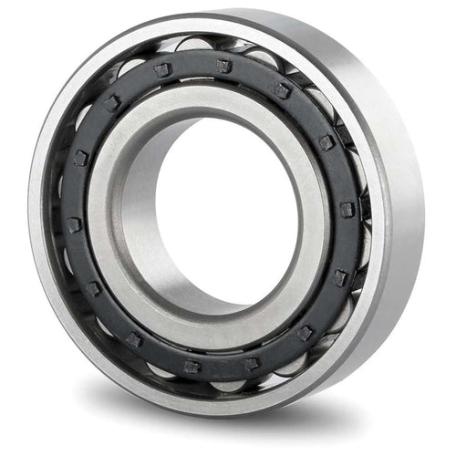 NJ411W NSK Cylindriske rullelejer 55x140x33